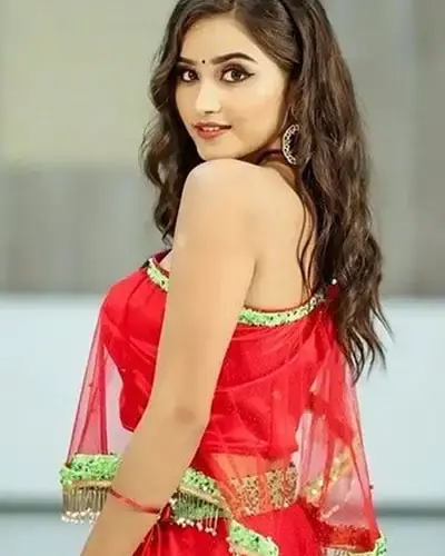 Escort In Phagwara